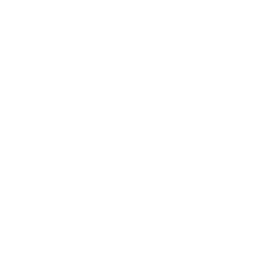 400 professionals and employees